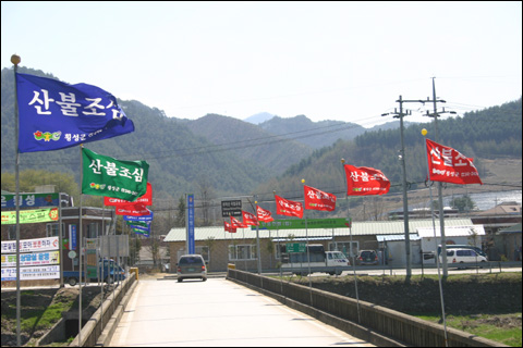 강원도는 온통 산불 비상이다. 산불조심 깃발이 강원도를 뒤덮고 있다 